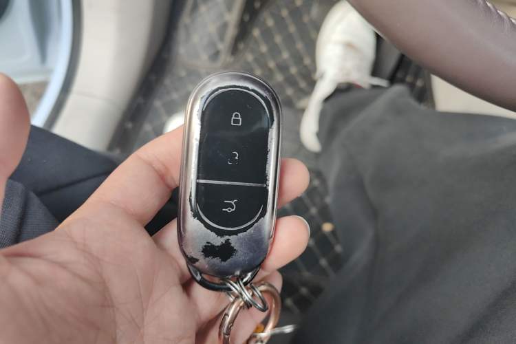 Used Leapmotor C11 2023 Pure Electric 500 Comfort Edition
