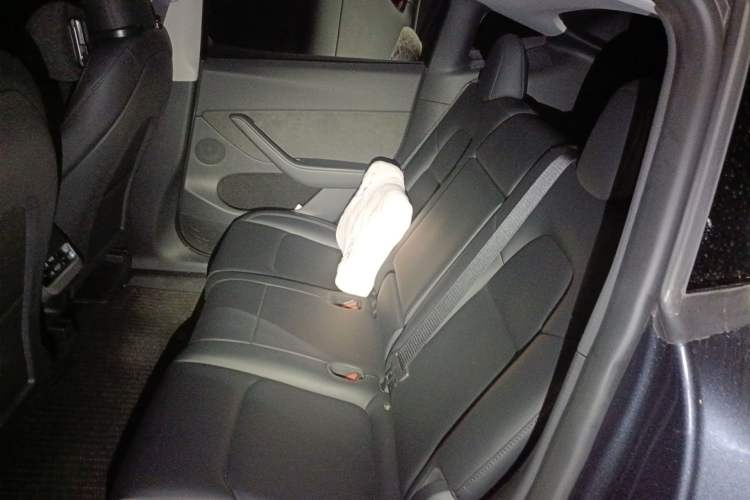 Used Tesla Model Y 2024 Rear-Wheel-Drive Version Left Rear Seat