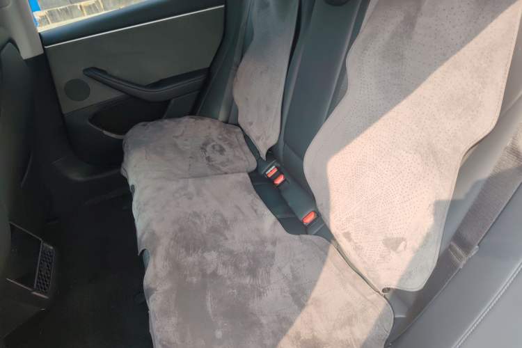 Used Tesla Model 3 2023 Rear-Wheel-Drive Version Interior 4