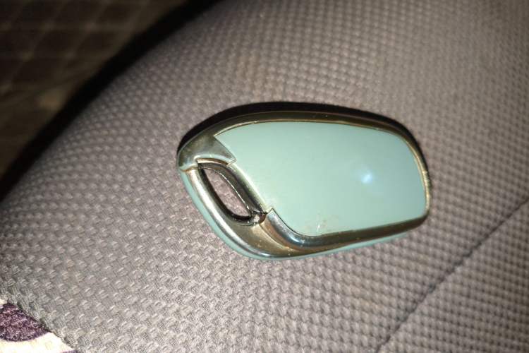 Used Roewe Clever 2021 302km Excellence Edition
