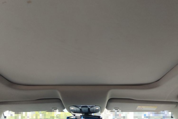 Used GAC Trumpchi GS8 2017 320T Two-Wheel Drive Luxury Smart Connectivity Version (7 Seats) Headliner