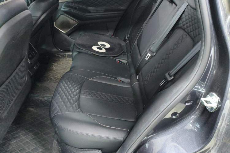 Used EXEED Lingyun 2021 290T Two-Wheel Drive Starry Edition Left Rear Seat