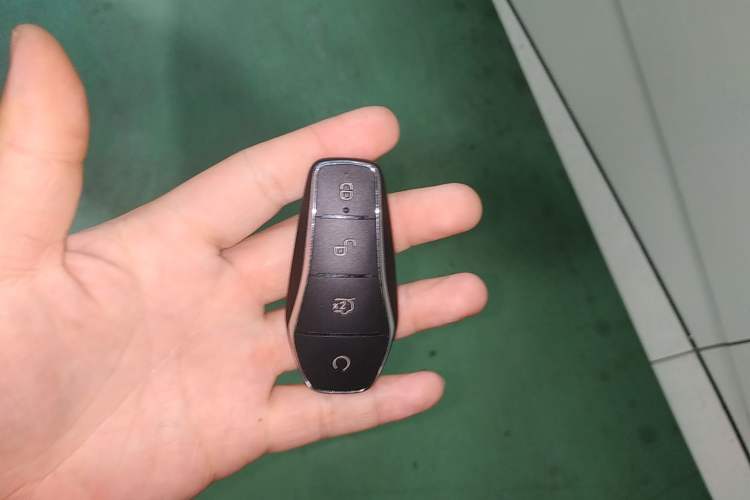 Used BYD Dolphin 2023 420 km Free Version Vehicle Key