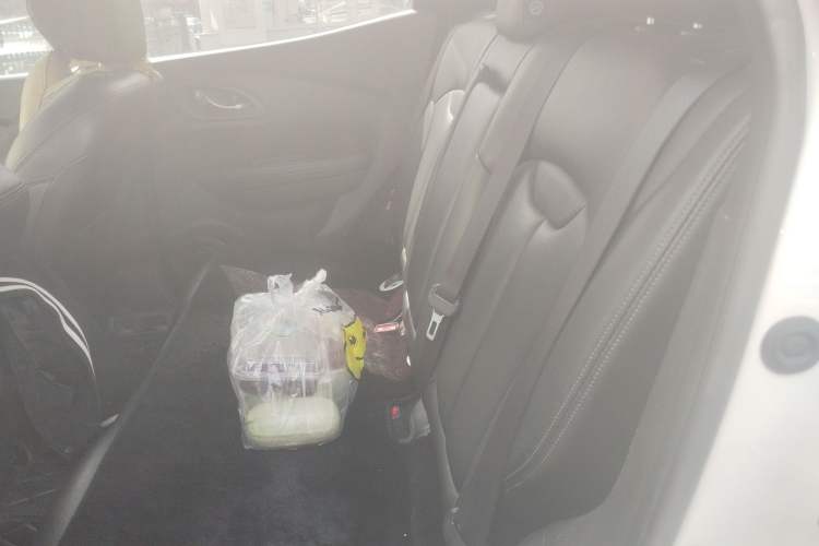 Used Renault Kadjar 2017 2.0L Two-Wheel-Drive Leading Edition Left Rear Seat