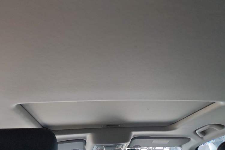 Used Tank 300 2021 Off-Road Edition 2.0T Conqueror
