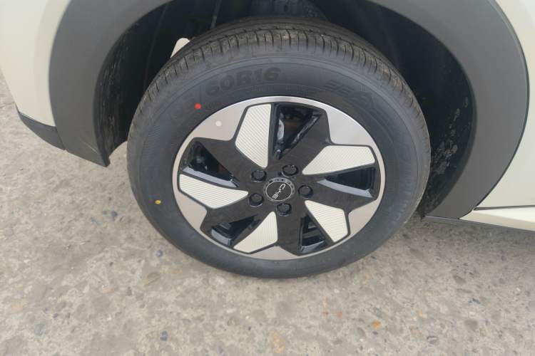 Used BYD Dolphin 2025 420km Fashion Edition Right Rear Wheel Hub
