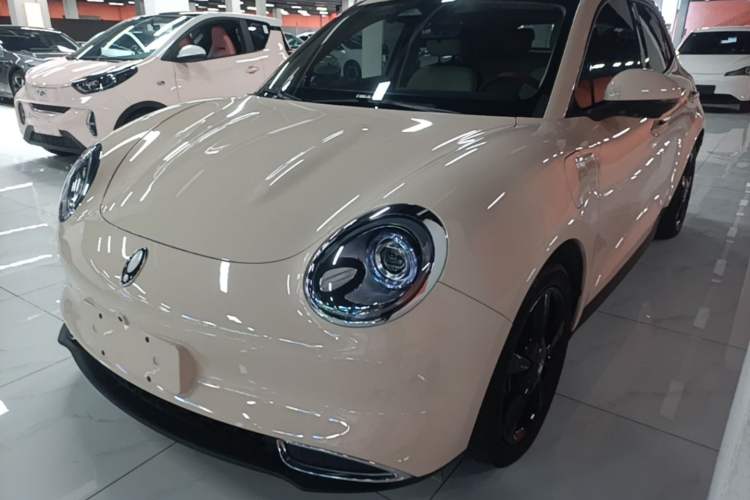 Used ORA Good Cat 2024 401 km Luxury Version