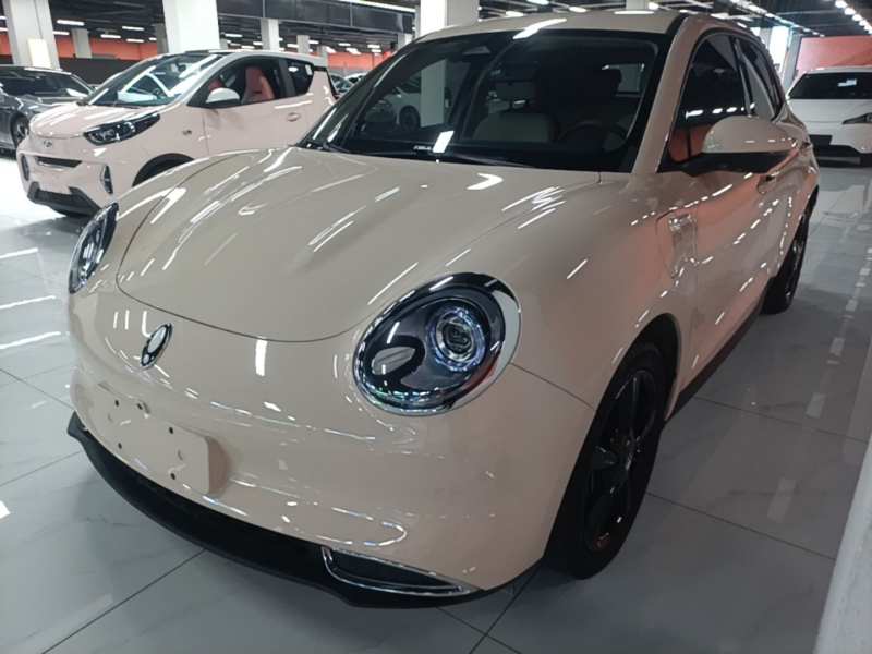 Used ORA Good Cat 2024 401 km Luxury Version