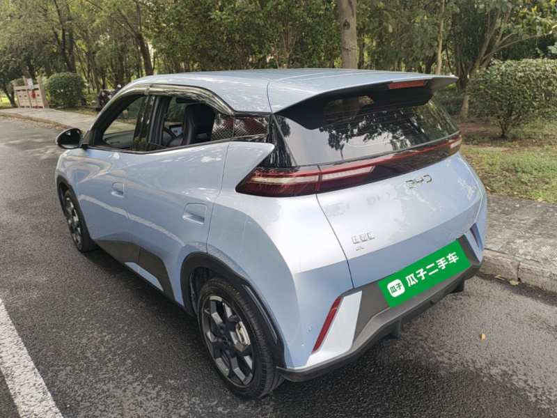 Used BYD Seagull 2024 Honor Edition 305km Freedom Version — 4