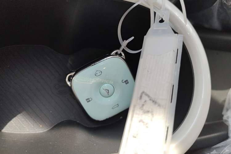 Used Cowin October 2025 Mate 300km Surfing Edition