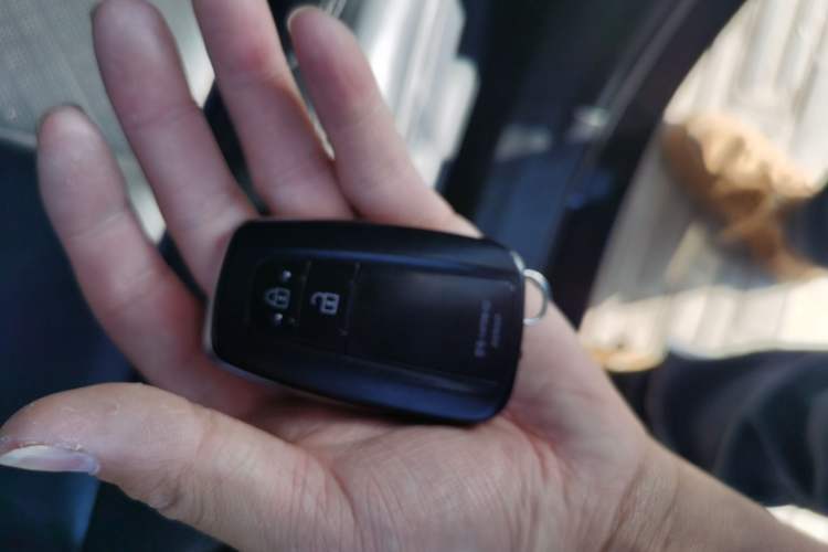 Used Toyota C-HR 2018 2.0L Flagship Version China V Standard