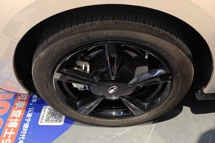 Used ORA Good Cat 2024 501 km Luxury Version