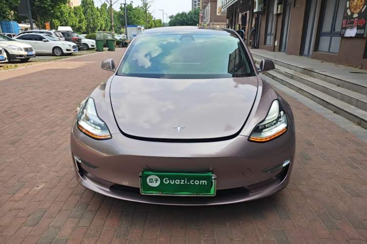 Used Tesla Model 3 2019 Long-Range All-Wheel-Drive Version
