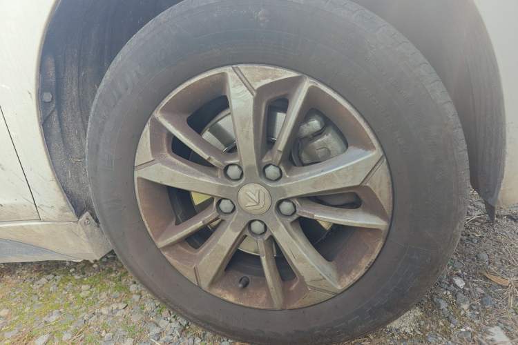 Used Livan Maple 60s 2022 Easy-to-Replace Version Lithium Iron Phosphate
