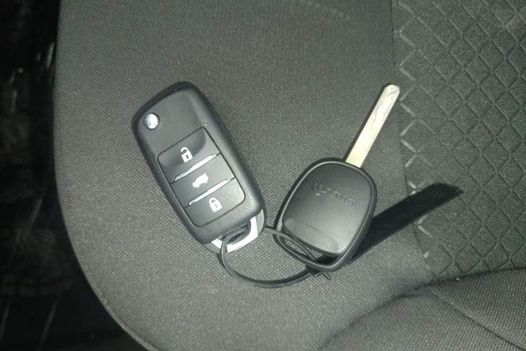 Used Qiyuan Lumin 2026 Model Treasure Edition 205km Passionate Beige Ningde