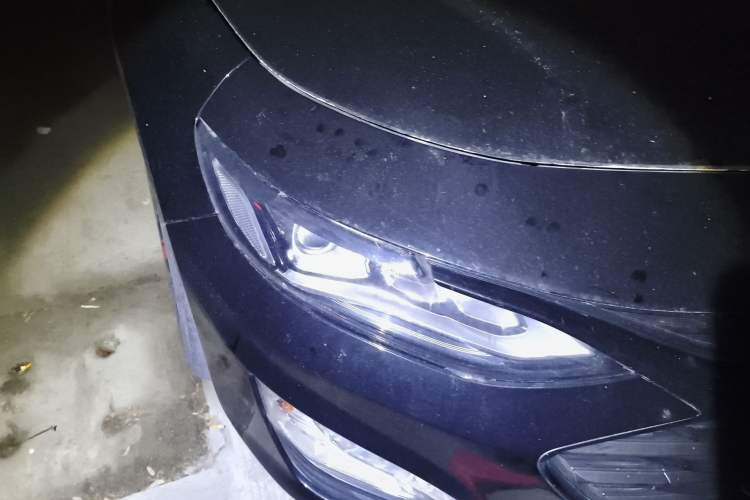 Used Chevrolet Malibu XL 2019 Redline 550T Automatic RuiLian Edition
