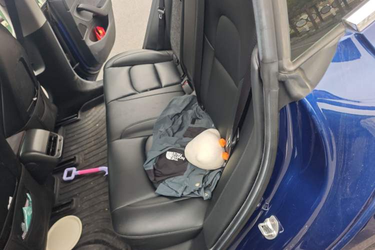 Used Tesla Model 3 2020 Revised Version Standard Range Rear-Wheel Drive – Upgraded Edition