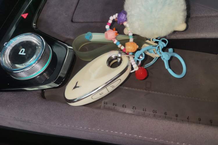 Used VOYAH PASSION 2024 PHEV Four-Wheel Drive Ultra-Long Range Flagship Model