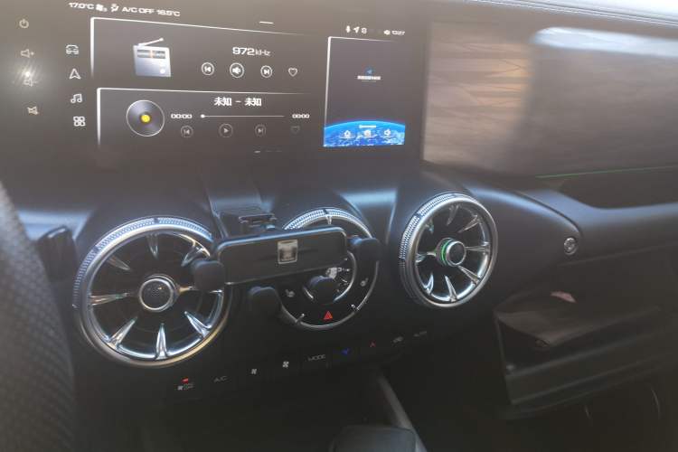 Used Tank 300 2022 2.0T Border Limited Edition
