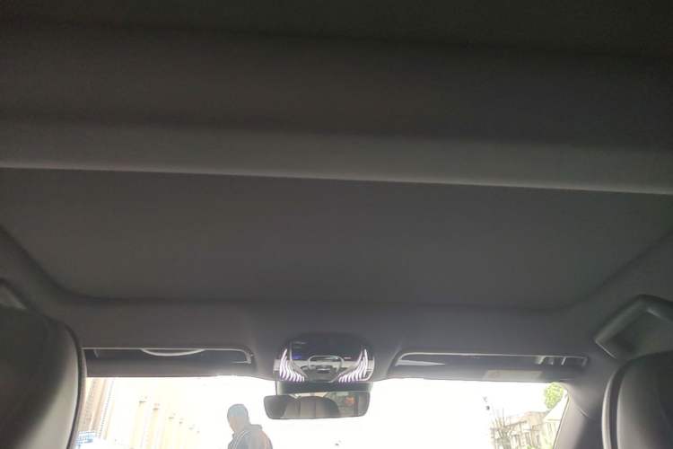 Used VOYAH PASSION 2024 PHEV Four-Wheel Drive Ultra-Long Range Flagship Model Headliner