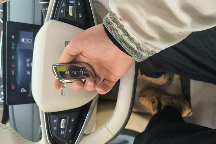 Used FORTHING Xinghai S7 2024 555 Luxury Edition Interior 1