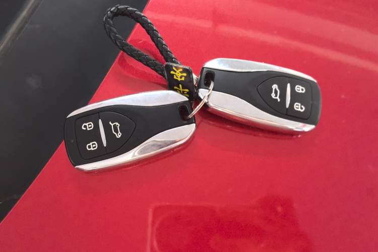 Used Dayun Yuehu 2022 30.66 kWh Two-Wheel Drive Standard Version Vehicle Key