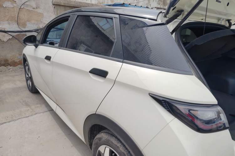 Used BYD Dolphin 2024 Honor Edition 420km Freedom Version Exterior 2