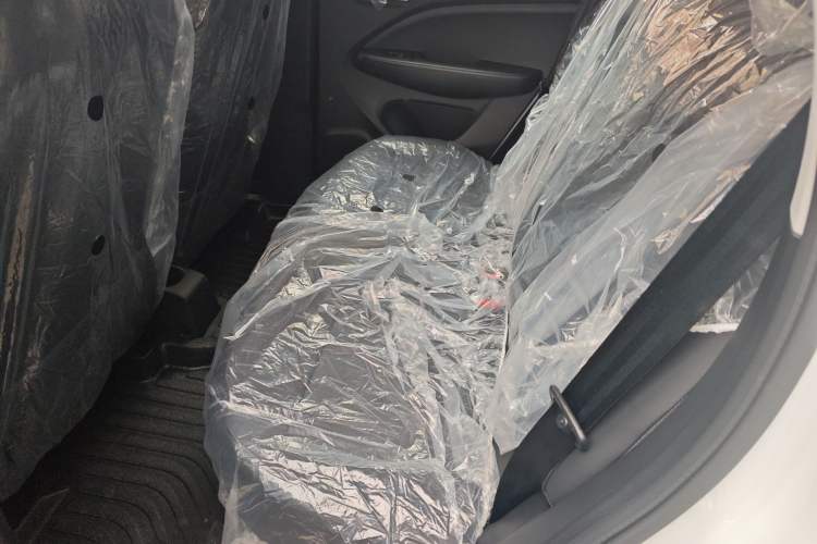 Used Leapmotor T03 2024 310 Comfort Edition Left Rear Seat