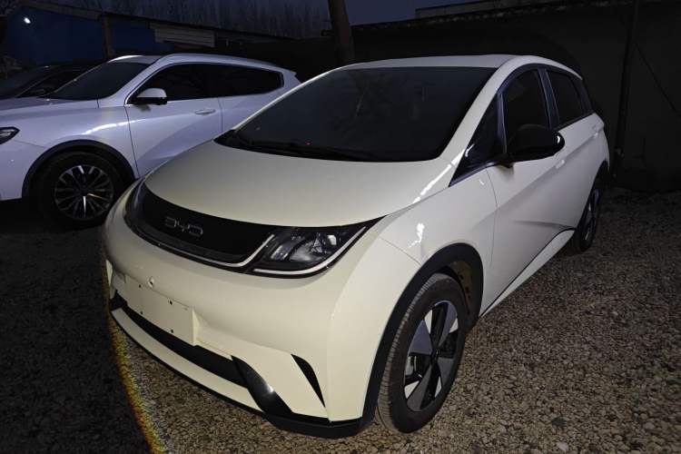 Used BYD Dolphin 2023 420 km Free Version