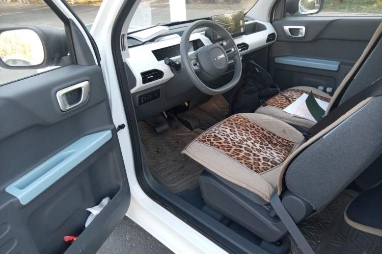 Used Geely Galaxy Panda 2024 Panda Mini 200km Endurance Bear
