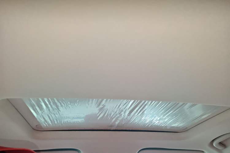 Used Buick Regal 2024 28T Luxury Edition Headliner