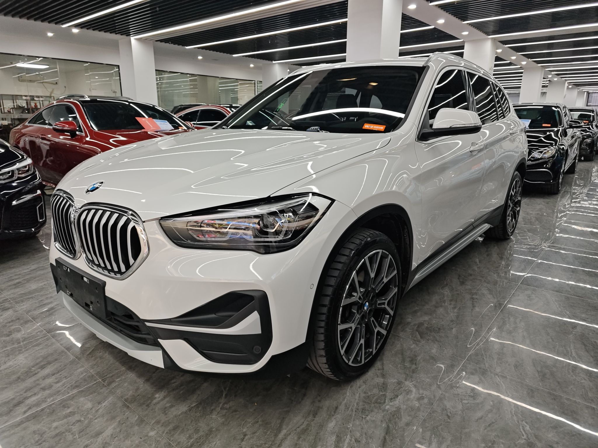 Parte inferior delantera