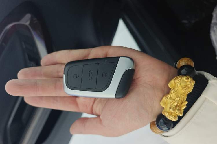 Used Chery Little Ant 2022 Sweet Pink Edition Half-Sugar Version Lithium Iron Phosphate 30 kW 301 km