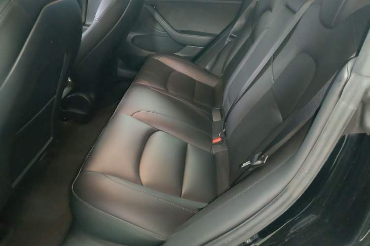 Used Tesla Model 3 2021 Standard Range Rear-Drive Upgraded Version