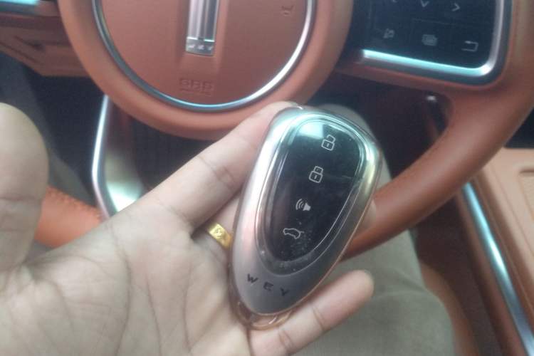 Used Wey Lanshan 2023 Four-Wheel Drive Ultra-Long Range Version