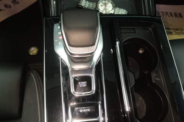 Used Hongqi H9 2024 2.0T Qichang Private Enjoyment Luxury Edition