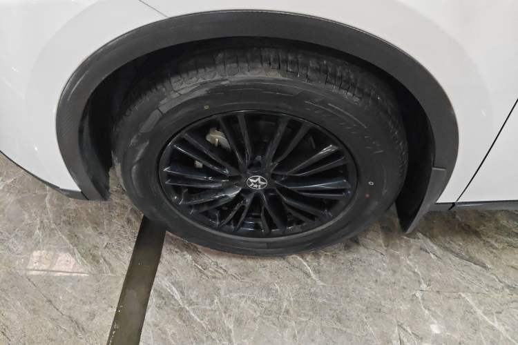 Used Venucia V 2023 260T Idol Edition Pro