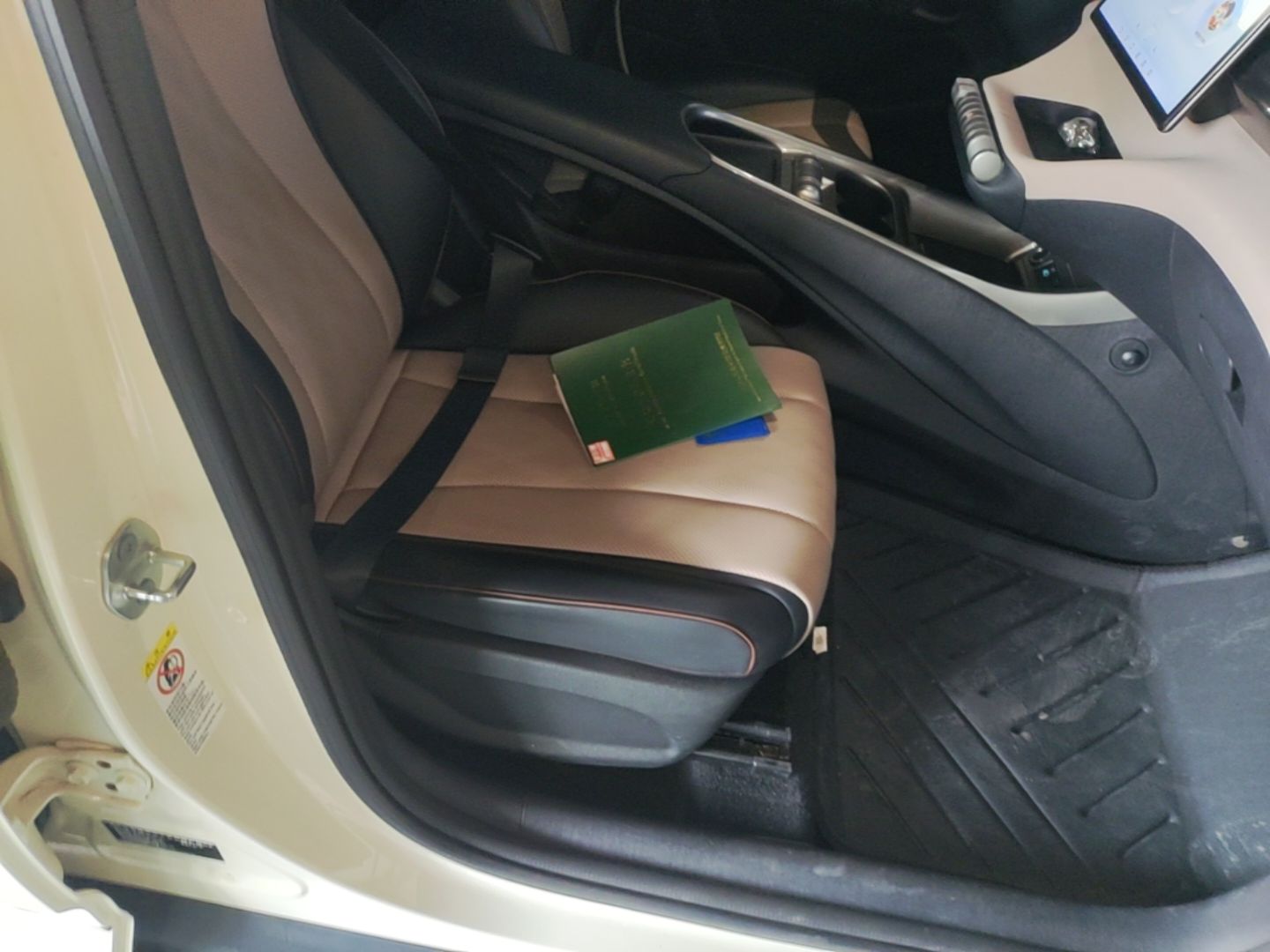 BYD Dolphin 2024 Honor Edition 302km Dynamic Version — снимка 19