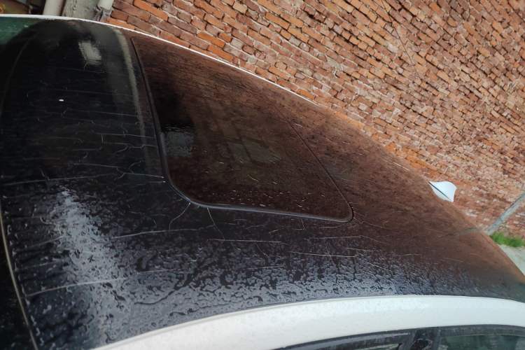 Used Skoda Rapid 2015 1.6L Manual Smart Selection Model
