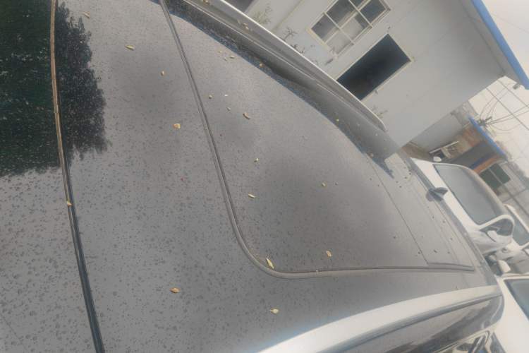 Used Hongqi HS5 2022 Revised Version 2.0T Smart Connect Flagship Edition