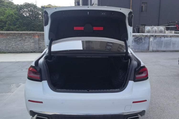 Used BMW 5 Series 2021 530Li Leading Luxury Package