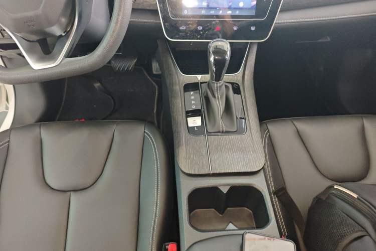 Used Venucia D60 2021 PLUS 1.6L XL CVT Yue Ling Edition