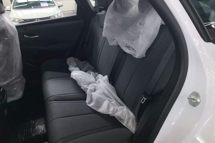 Used BYD Qin PLUS  Left Rear Seat