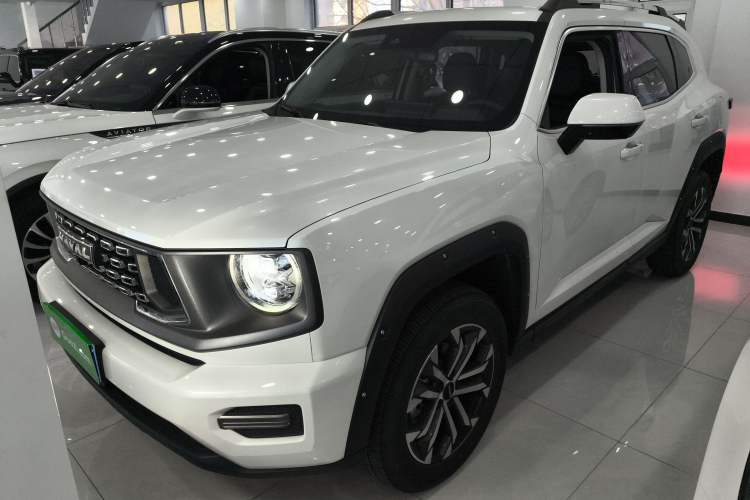 Used Haval H Dog 2023 2.0T Two-Wheel Drive Chaoye Version Plus