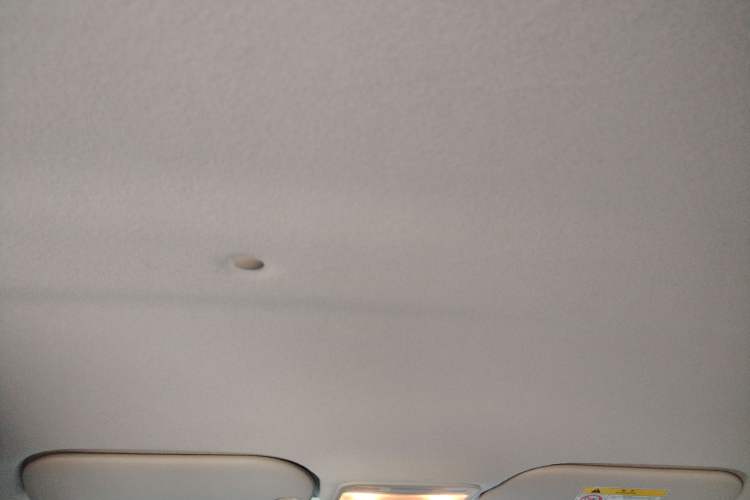 Used SOL E10X 2022 Flower Fairy Style Baby's Breath