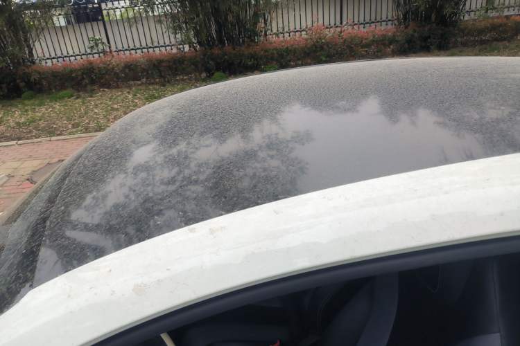 Used Roewe Clever 2022 311km QiQi BoBo Edition
