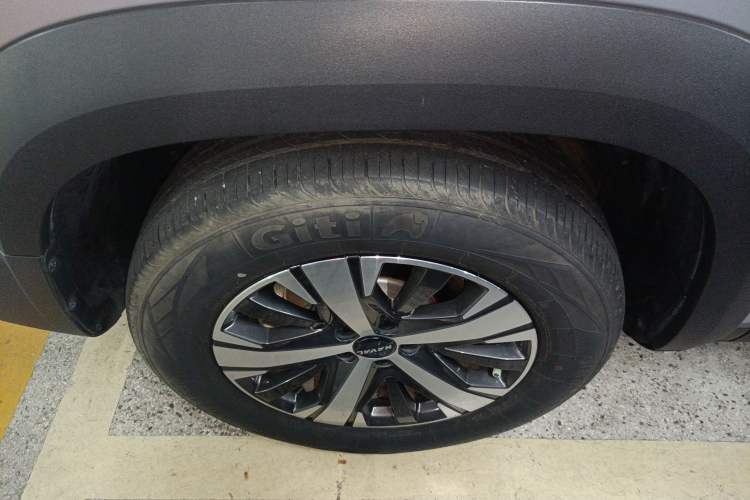 Used Haval DARGO 2022 1.5T DCT Two-Wheel Drive Labrador Edition