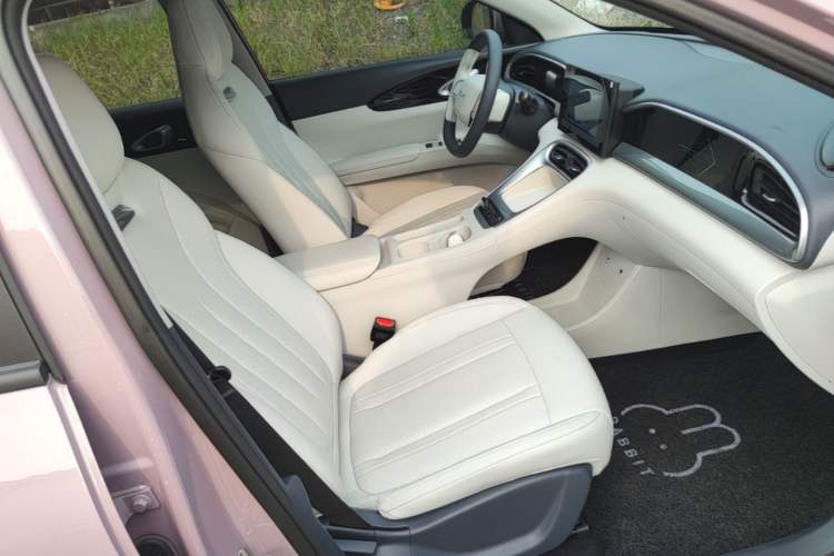 Used Geely Galaxy Geome 2025 310km Youth Edition Right Front Seat