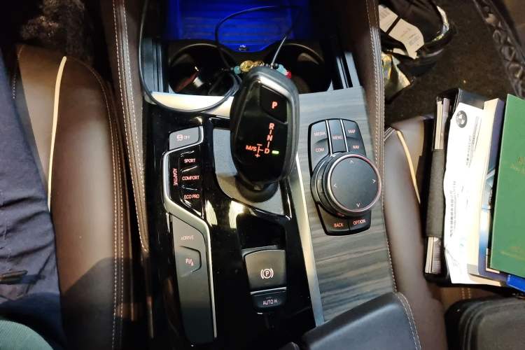 Used BMW 5 Series New Energy 2019 530Le Luxury Package