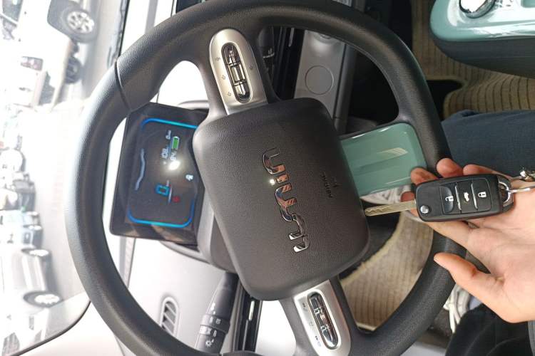 Used CHANGAN NEVO Lumin 2024 130km Qingyue Version Interior 1